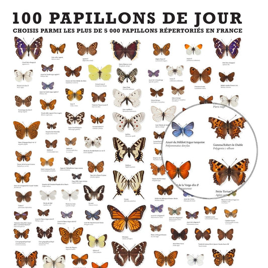 100 PAPILLONS DE JOUR DE FRANCE